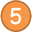 (5)