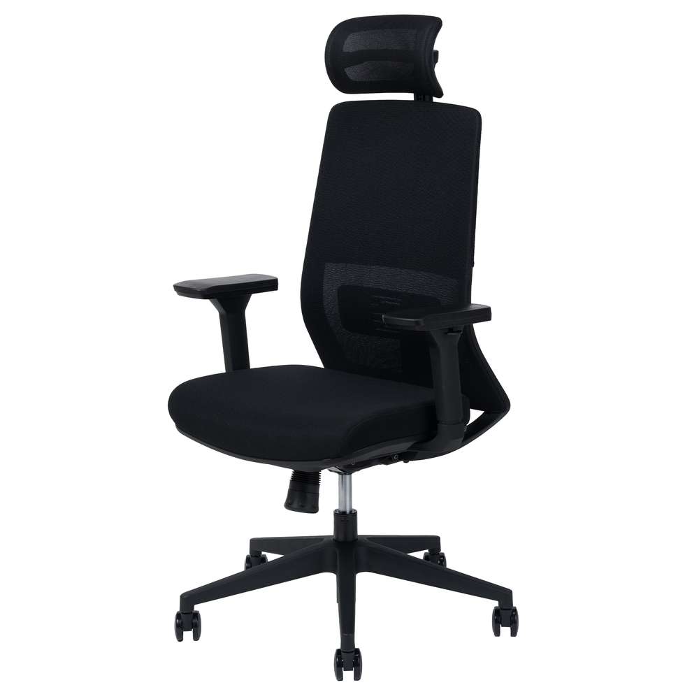 テレワーク 在宅ワーク サリダYL7R  ブラック