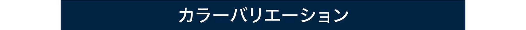 テレワーク 在宅ワーク アクト バリエーション