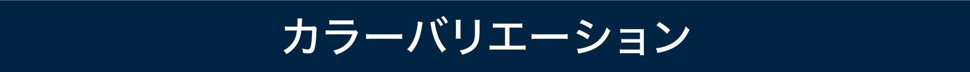 テレワーク 在宅ワーク アクト バリエーション