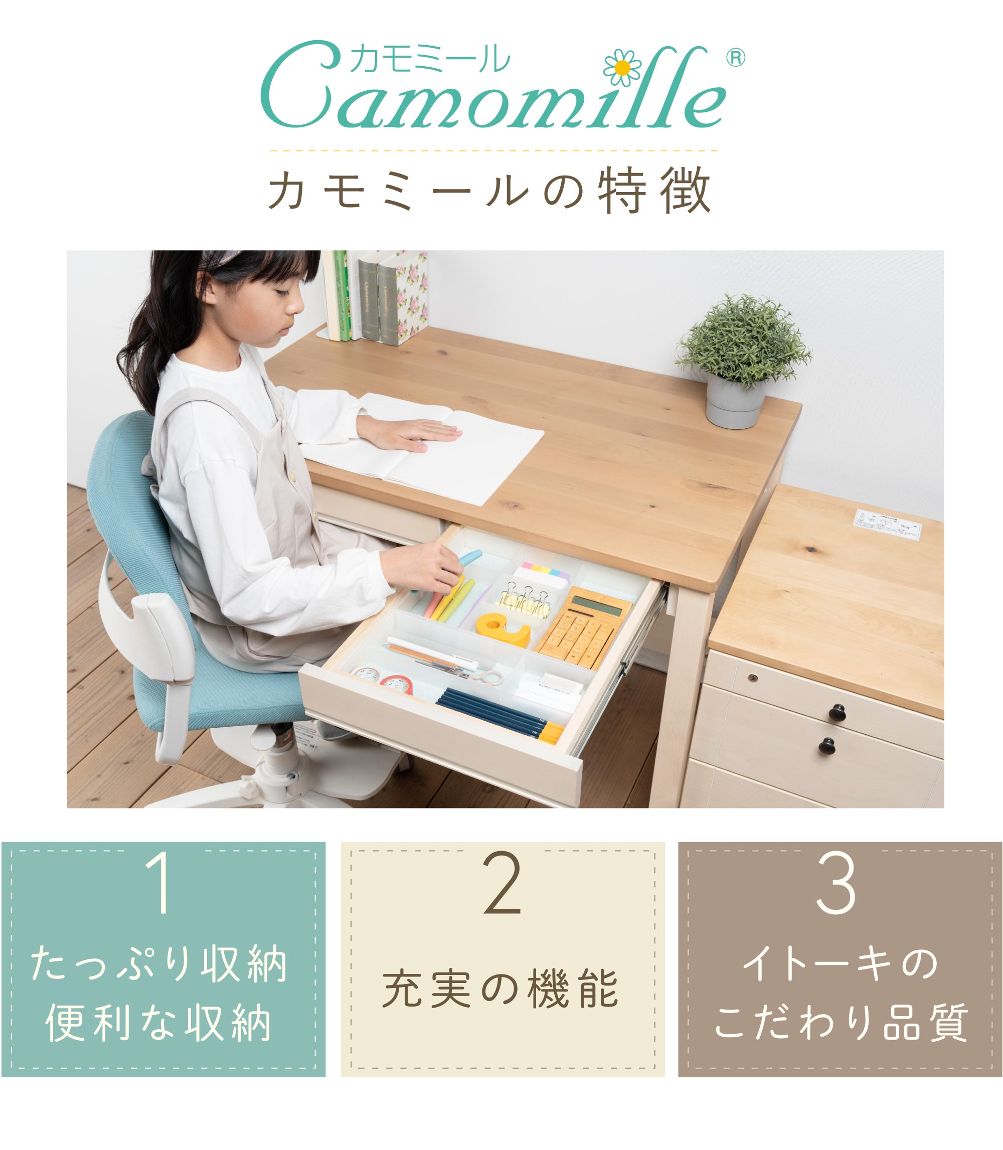 カモミール GC ベーシックタイプ