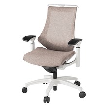 エフチェア メッシュバック 可動肘 ハンガー ナイロン双輪キャスター [ ベース:ホワイト / 張地:グレイッシュブラウン ] KG-177JEH-W9F6