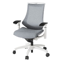 エフチェア メッシュバック 可動肘 ハンガー ナイロン双輪キャスター [ ベース:ホワイト / 張地:ホワイトグレーT ] KG-177JEH-W9T7