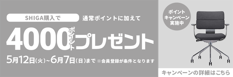 ポイントキャンペーン！購入後に、あとで使えるポイントをプレゼント！！