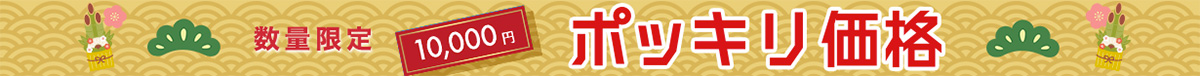 ポッキリ価格 1万円