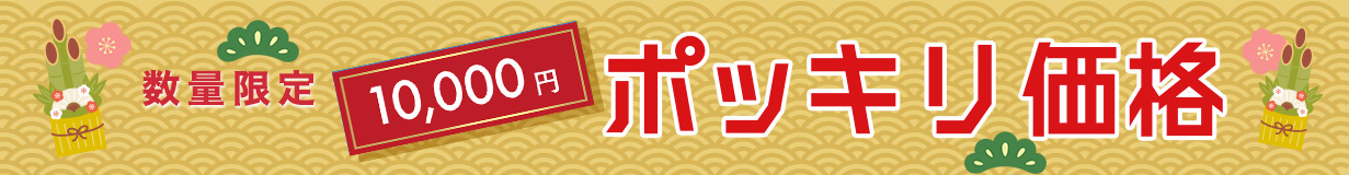ポッキリ価格 1万円