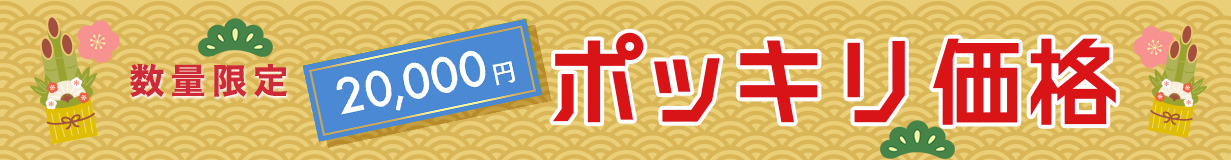 ポッキリ価格 2万円
