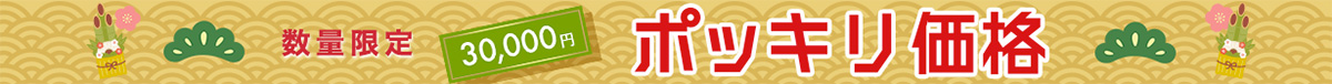 ポッキリ価格 3万円
