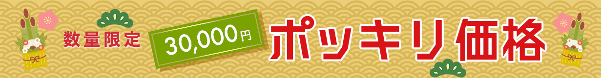 ポッキリ価格 3万円