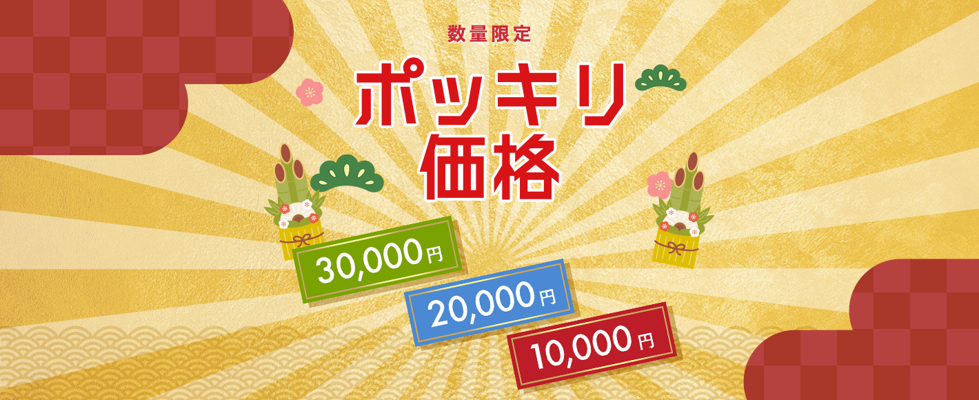 ポッキリ価格